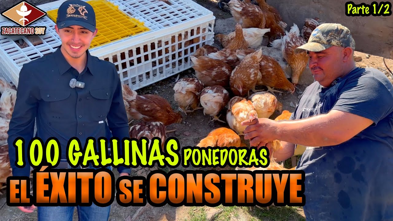 MÁS GALLINAS A LA GRANJA creció la parvada 
