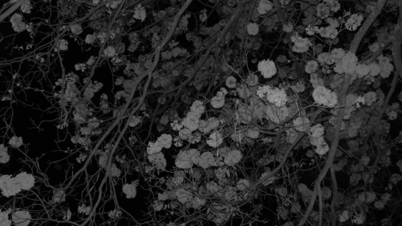 sewerperson - something abt u makes me wish i wasnt me