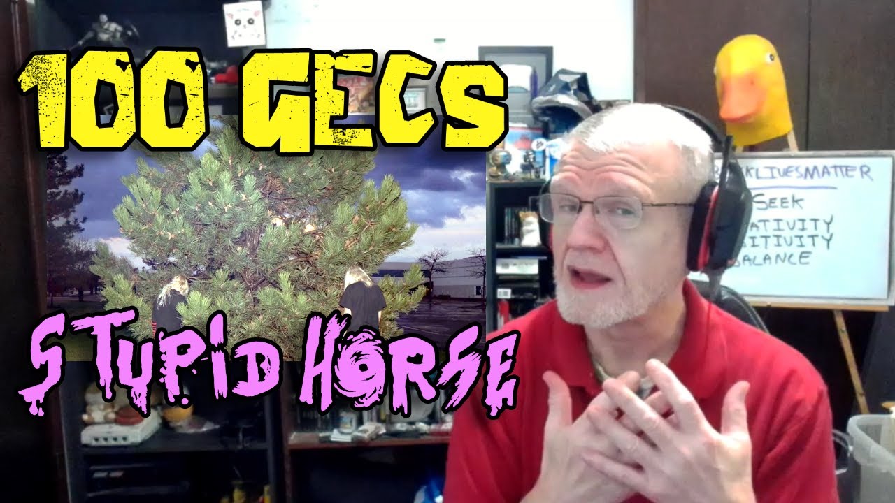 100 Gecs - Stupid Horse | NearlySeniorCitizen Reacts #116