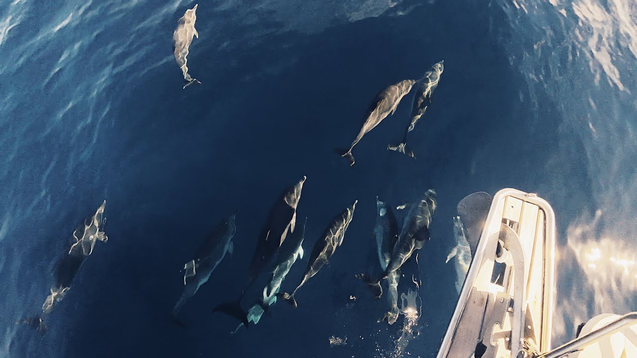 S3 - Ep.3 la Gomera - Ténérife, 2 minutes de bonheur en plus