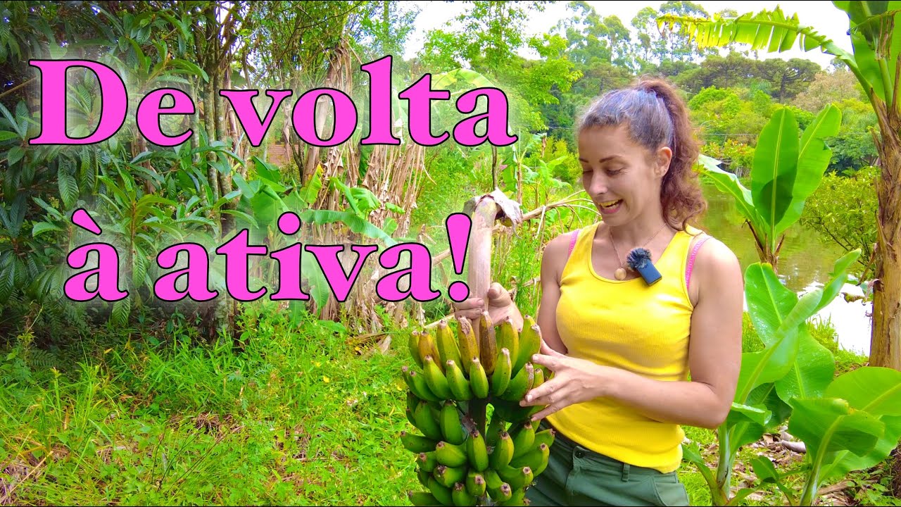 Banana, argila e flores