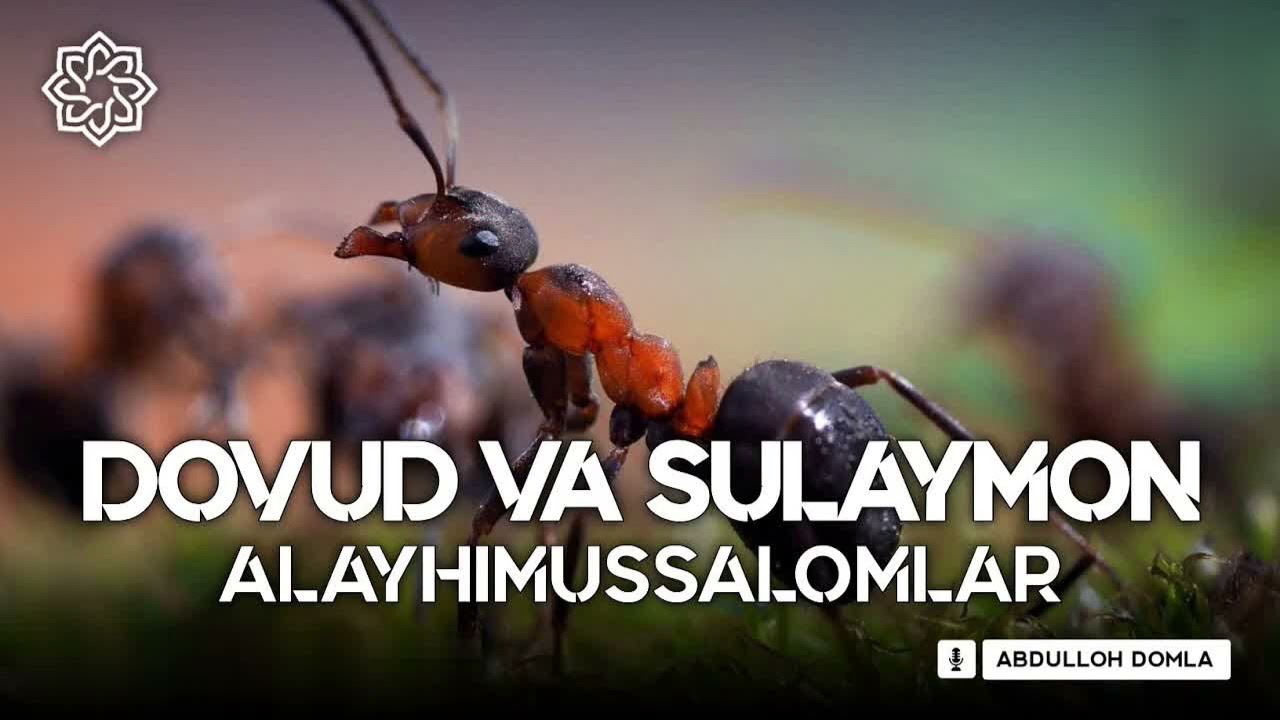 Абдуллох домла пайгамбарлар киссаси 