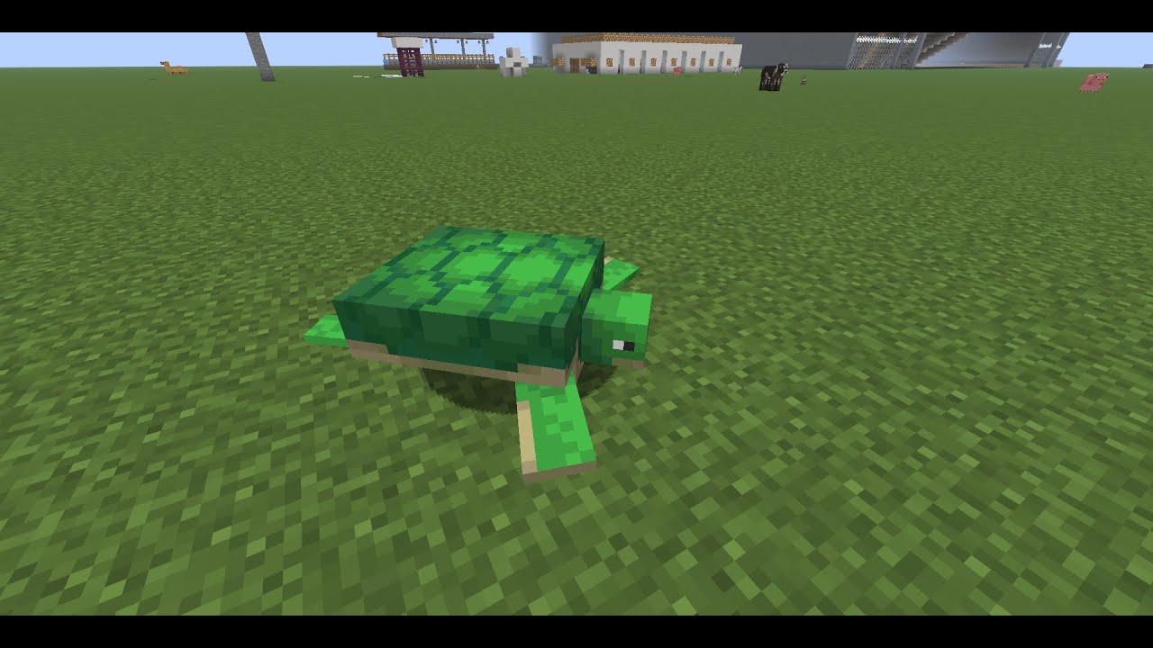 Sound of a minecraft turtle die - 1 hour