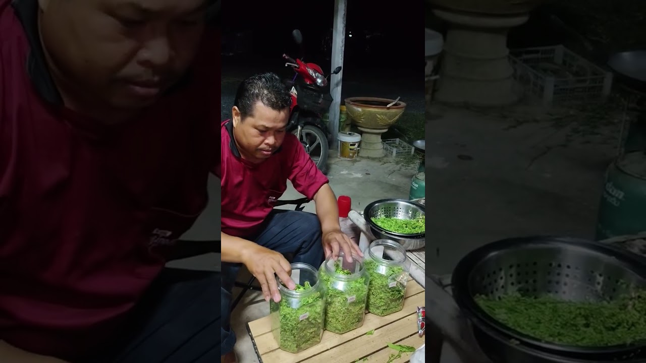 ถนอมอาหาร ดองสะเดาไว้กินเอง
