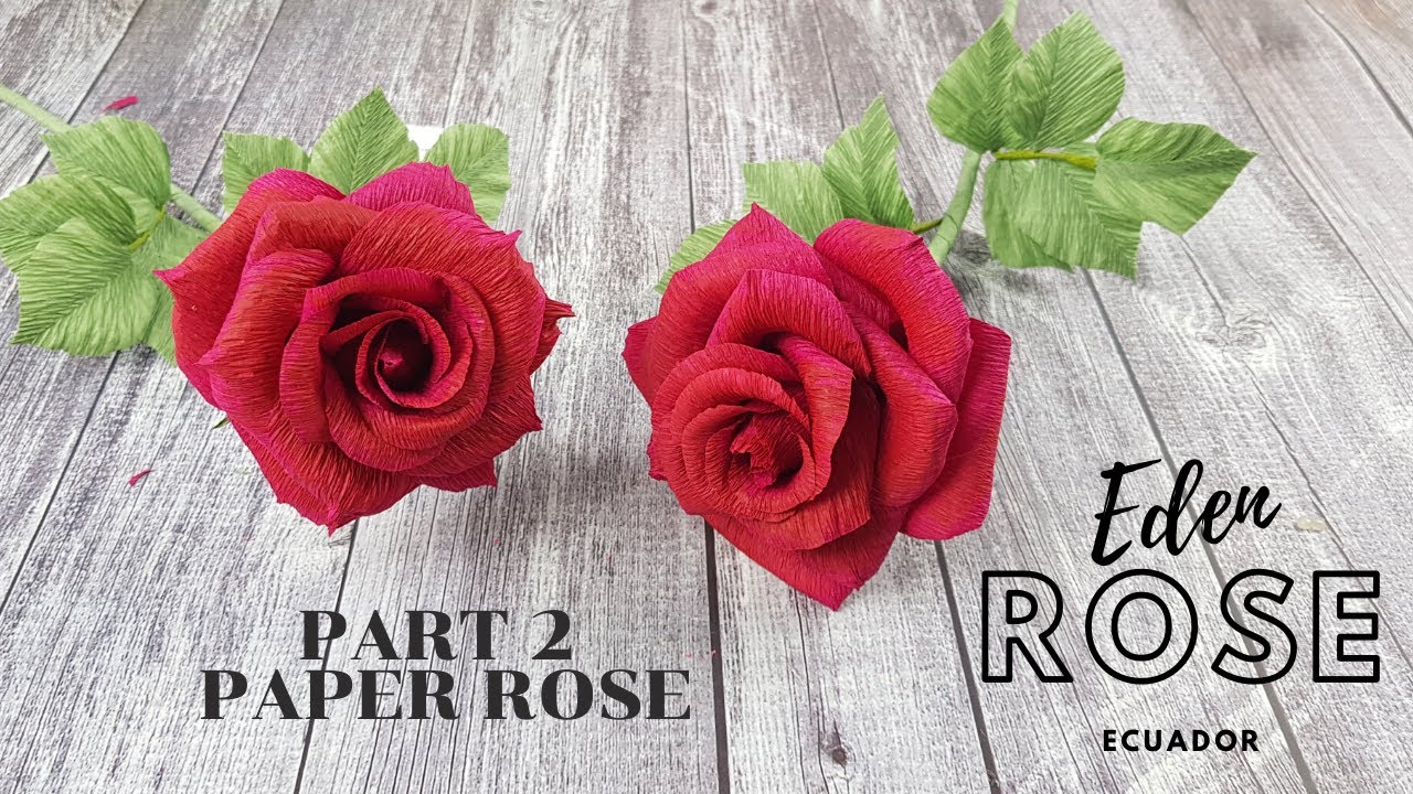 Paper Rose- How to make Eden Rose Ecuador Part 2