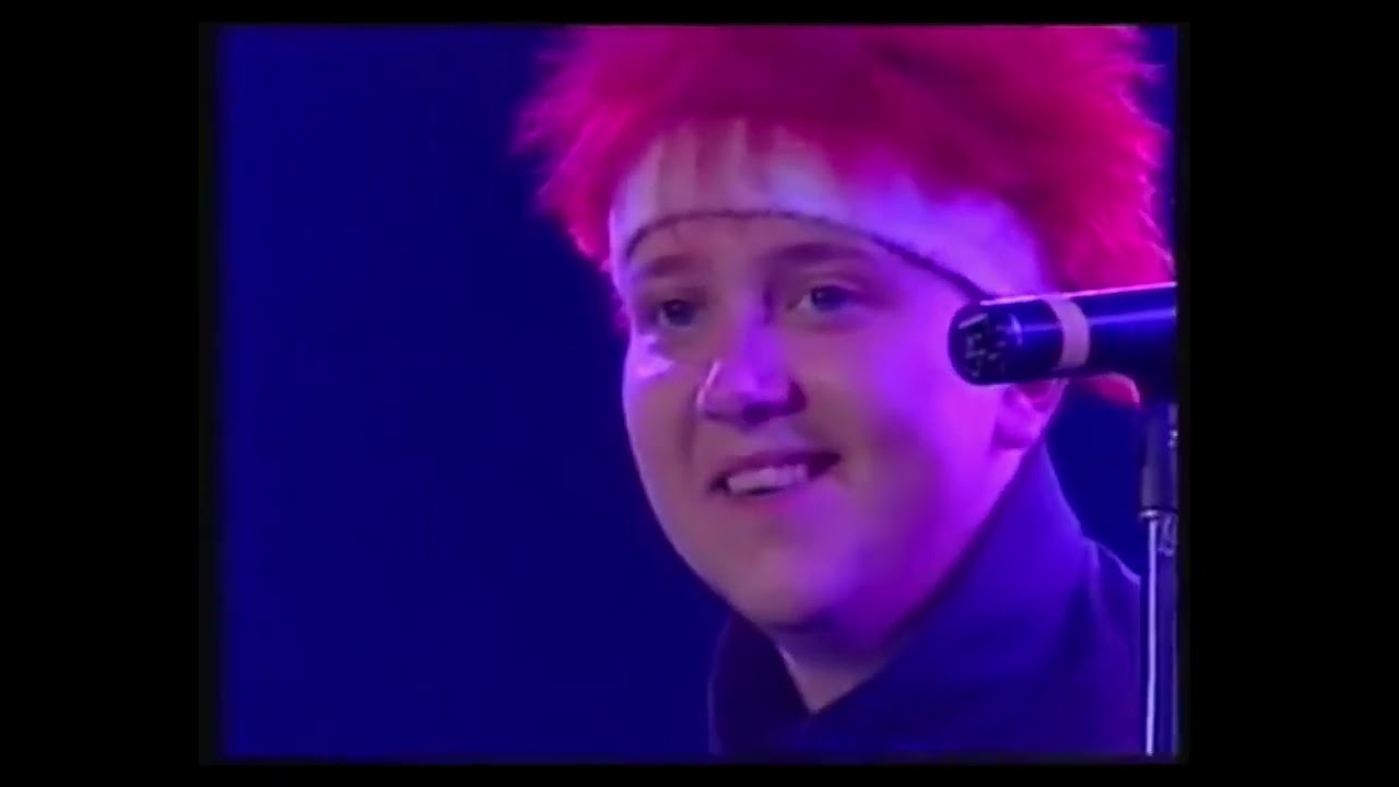 Die Prinzen live 
