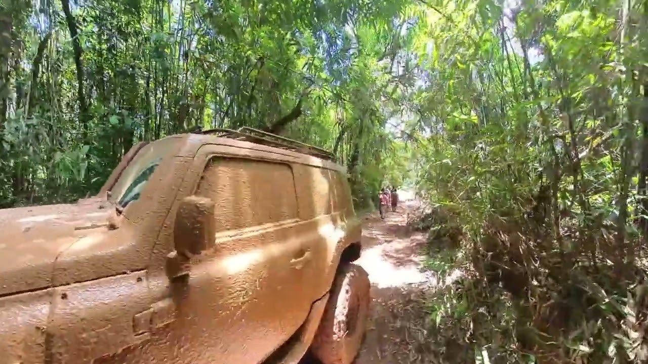 Trilha