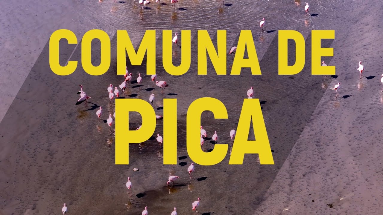 Paraisos en la Región de Tarapacá – Volumen 4: Comuna de Pica