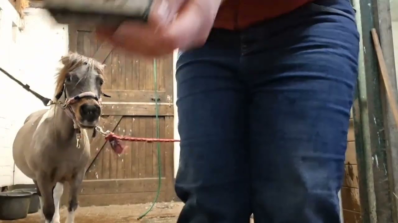 Aflevering 6 : de nikki verwen dag