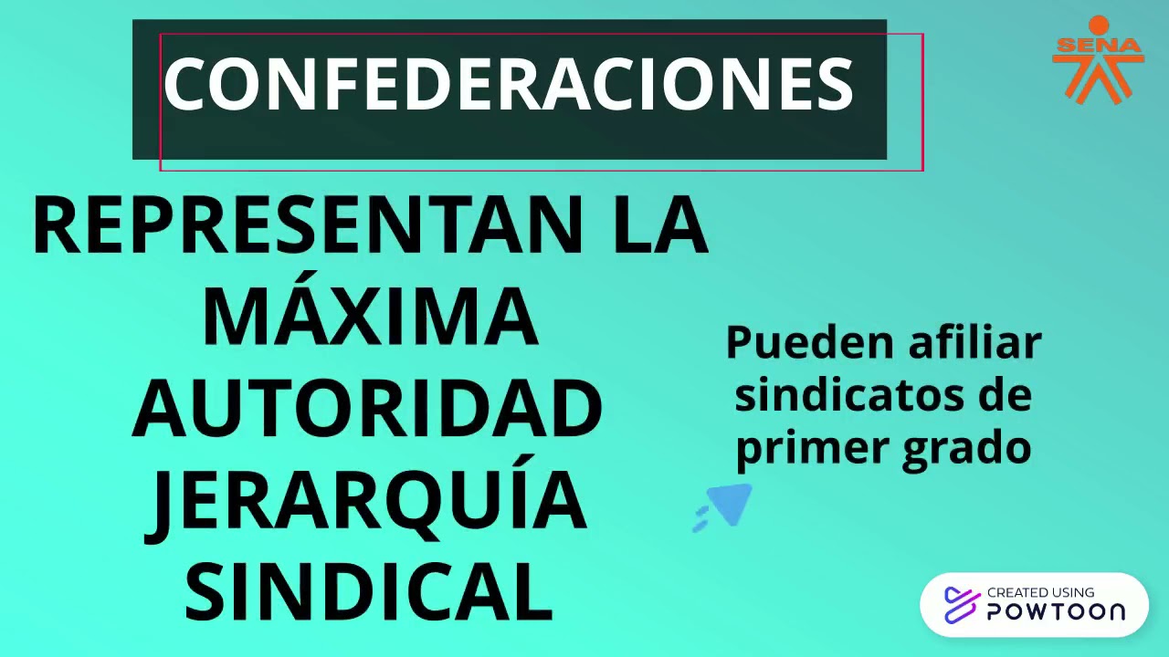 Federaciones y Confederaciones