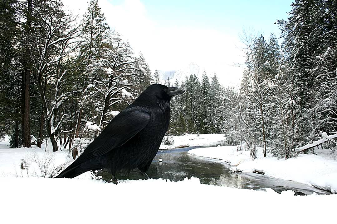 L'Ensemble des Lutins Luthiers - Ah que nos Pères Étaient Heureux...
