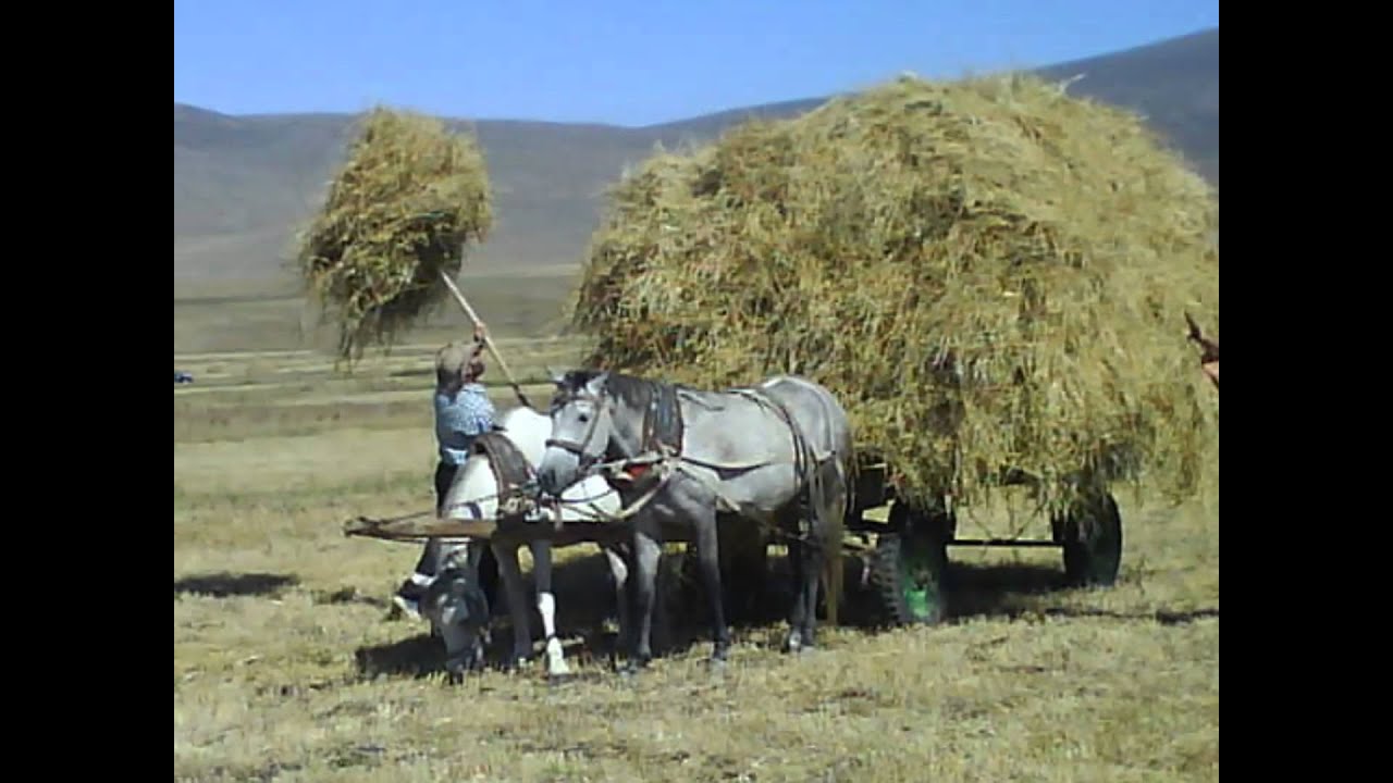 ARPAŞEN KÖYÜ (1)