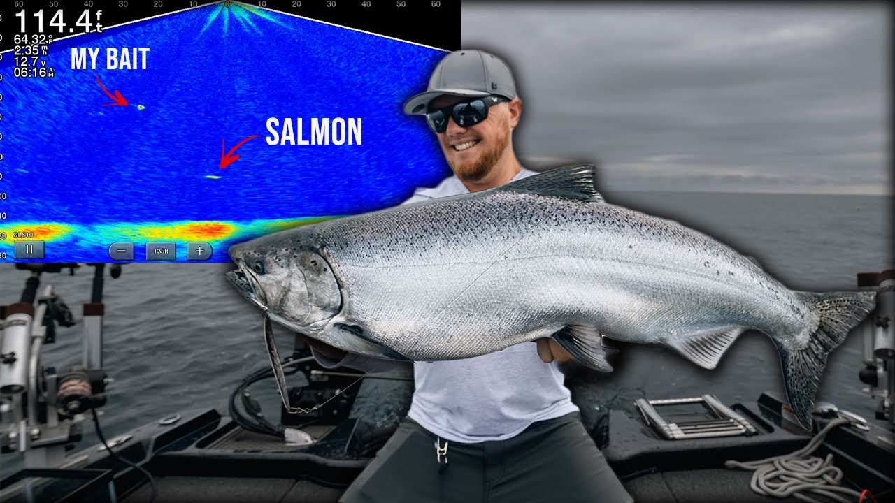 Can You Use Garmin LIVESCOPE Salmon Fishing?!? | Lake Michigan