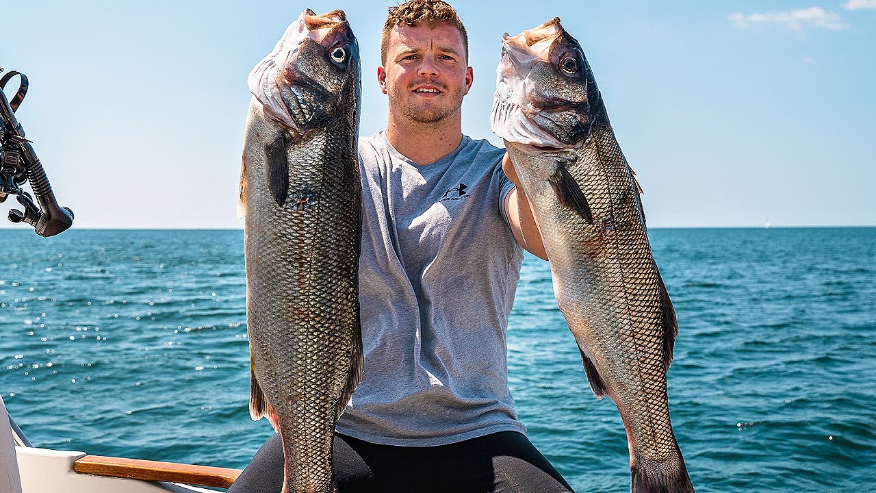 Spearfishing HUGE BASS - Massive Bass SHOALS!