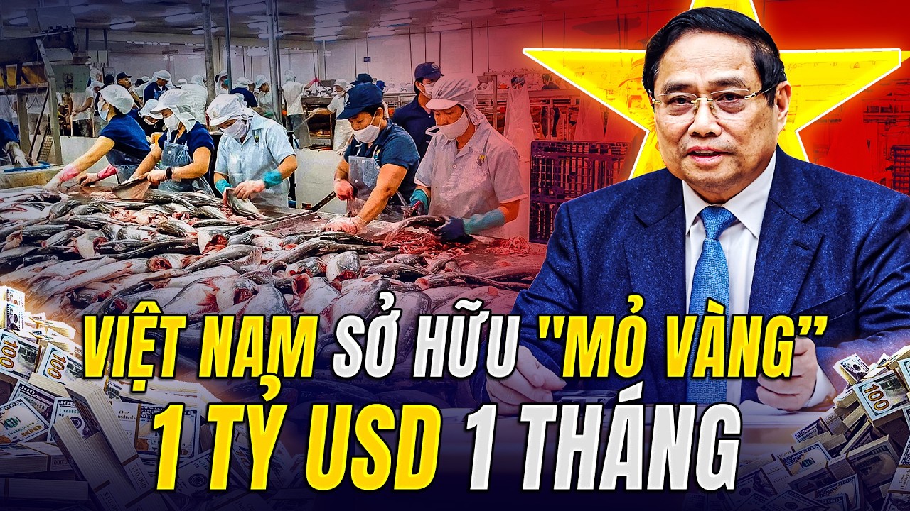 VIỆT NAM SỞ HỮU 