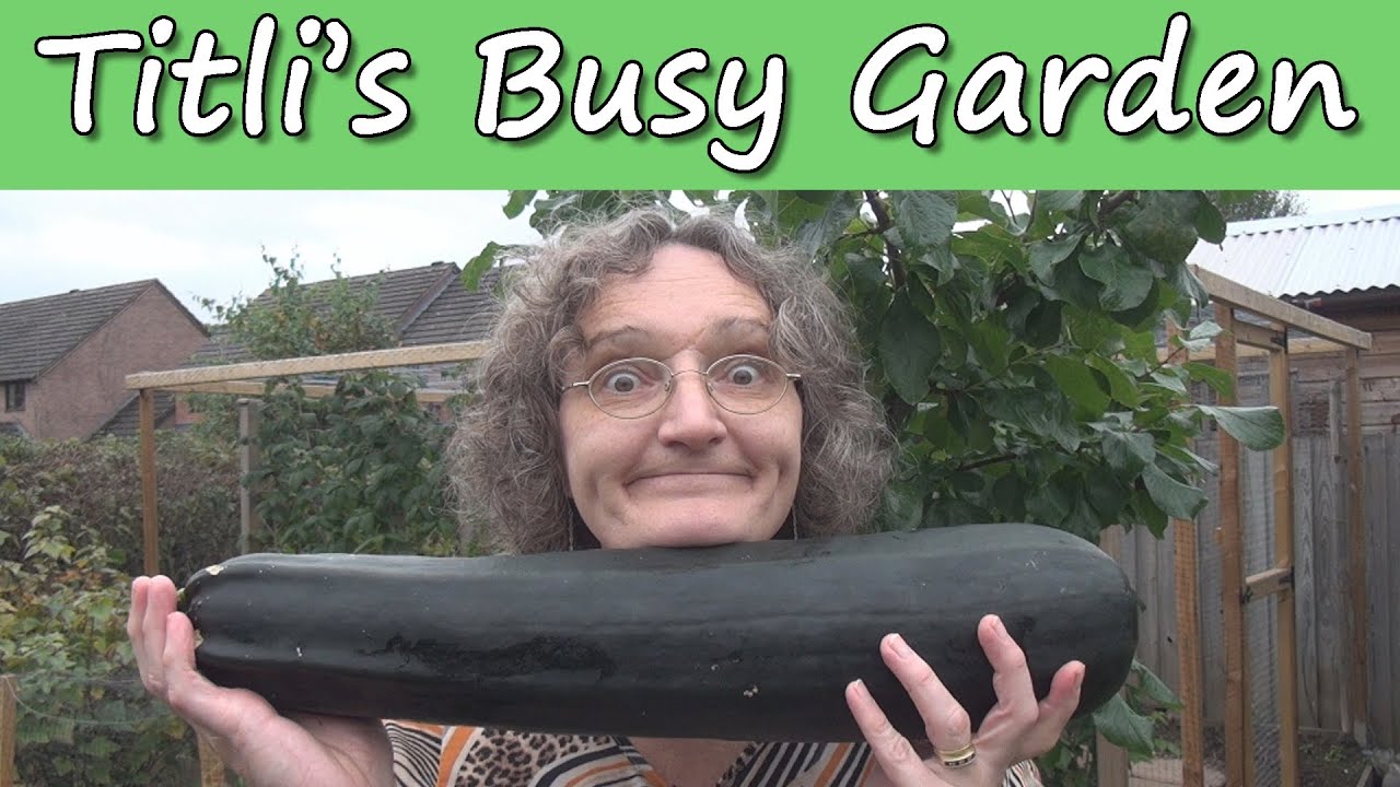 Fruit Picking - Titli's Busy Garden 2013 Week 38