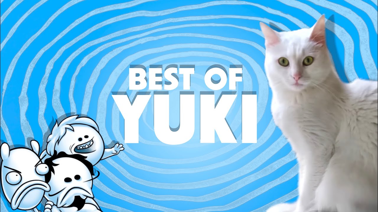 OneyPlays: Best Of Yuki [Mini Compilation]