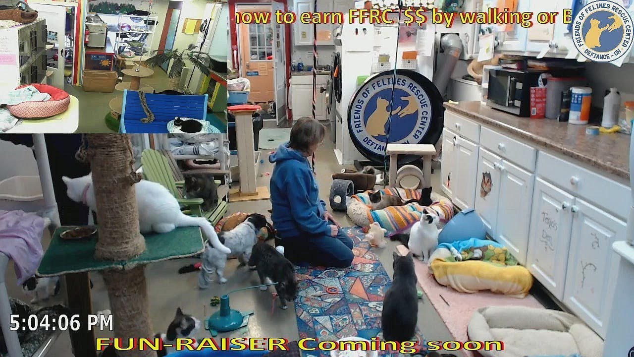 Stan's 2019019 Ramsay + chicken dance