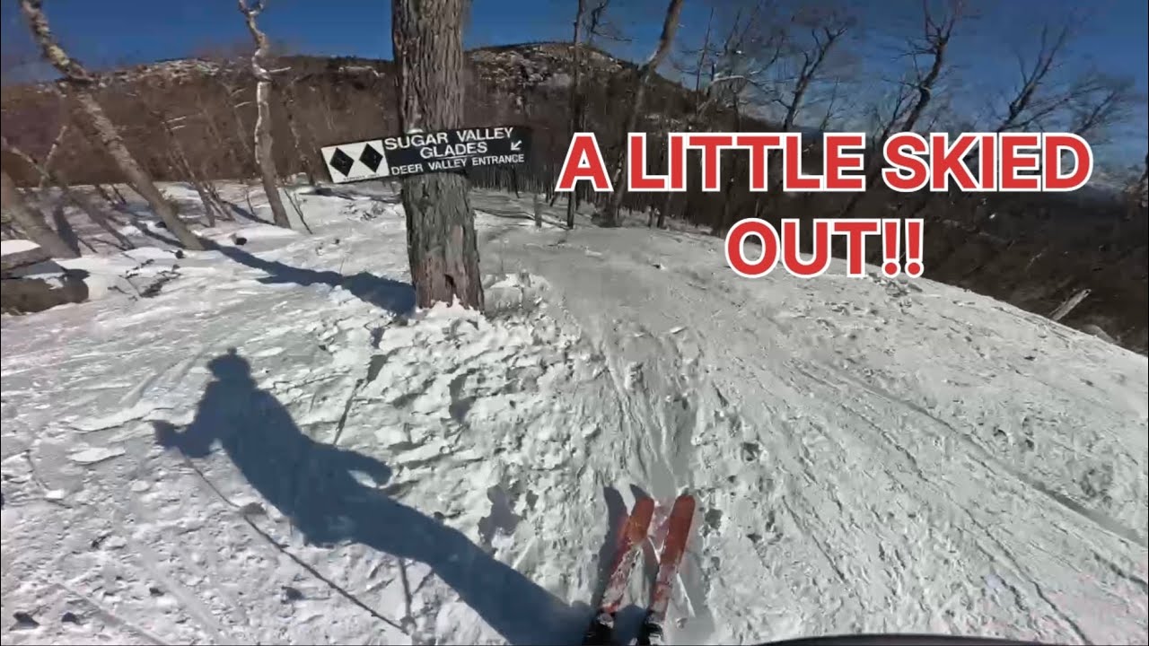WHITEFACE MOUNTAIN: SUGAR VALLEY GLADES ( deer valley entrance ) 