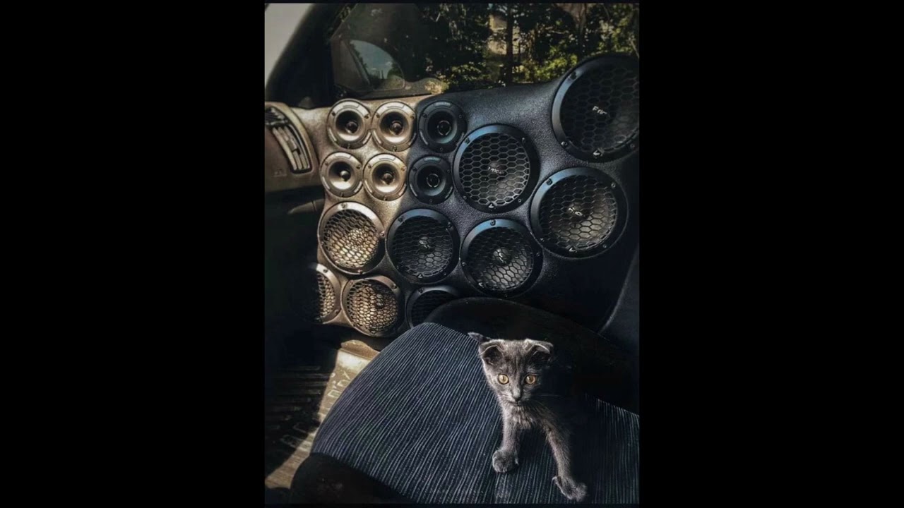 kvpv - Vulgar (rebassed by Matrix  33hz/37hz)