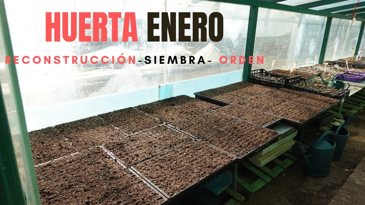 Enero en la Huerta | RECONSTRUCCIÓN  II