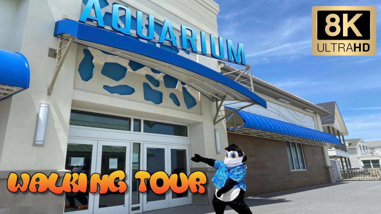 Jenkinson's Boardwalk Aquarium (Point Pleasant, New Jersey) - 8K Full Tour & Travel Review