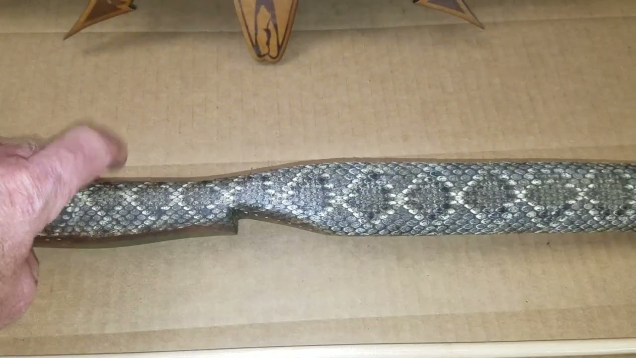 Sinew backed Osage bow