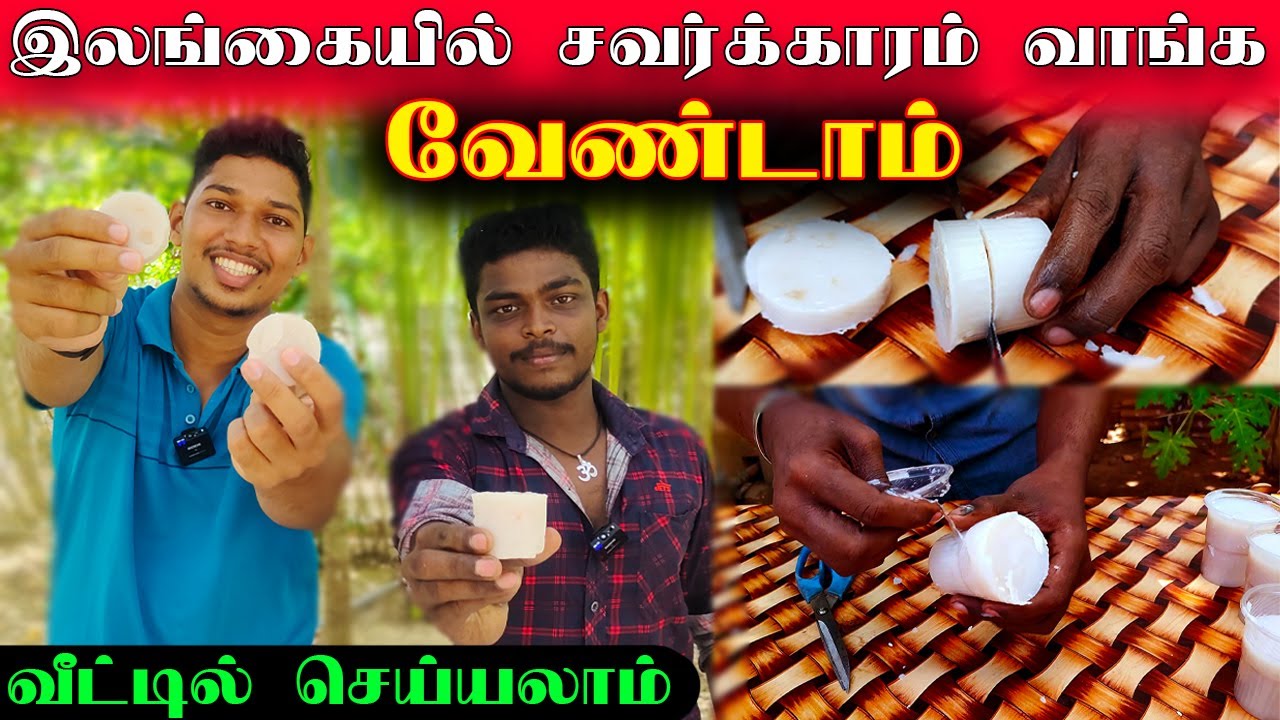யாழில் இளைஞனின் கற்றாழை சவர்க்கார உற்பத்தி | Jaffna Aloe Vera Soap Making | Jaffna | Sri Lanka
