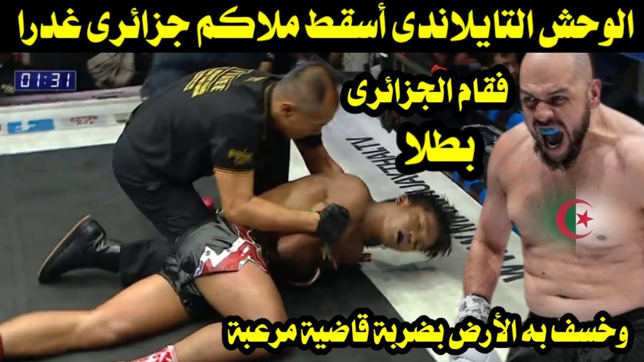 الوحش التايلاندى أسقط ملاكم جزائرى غدرا فقام الجزائرى بطلا وخسف به الأرض بضربة قاضية مرعبة