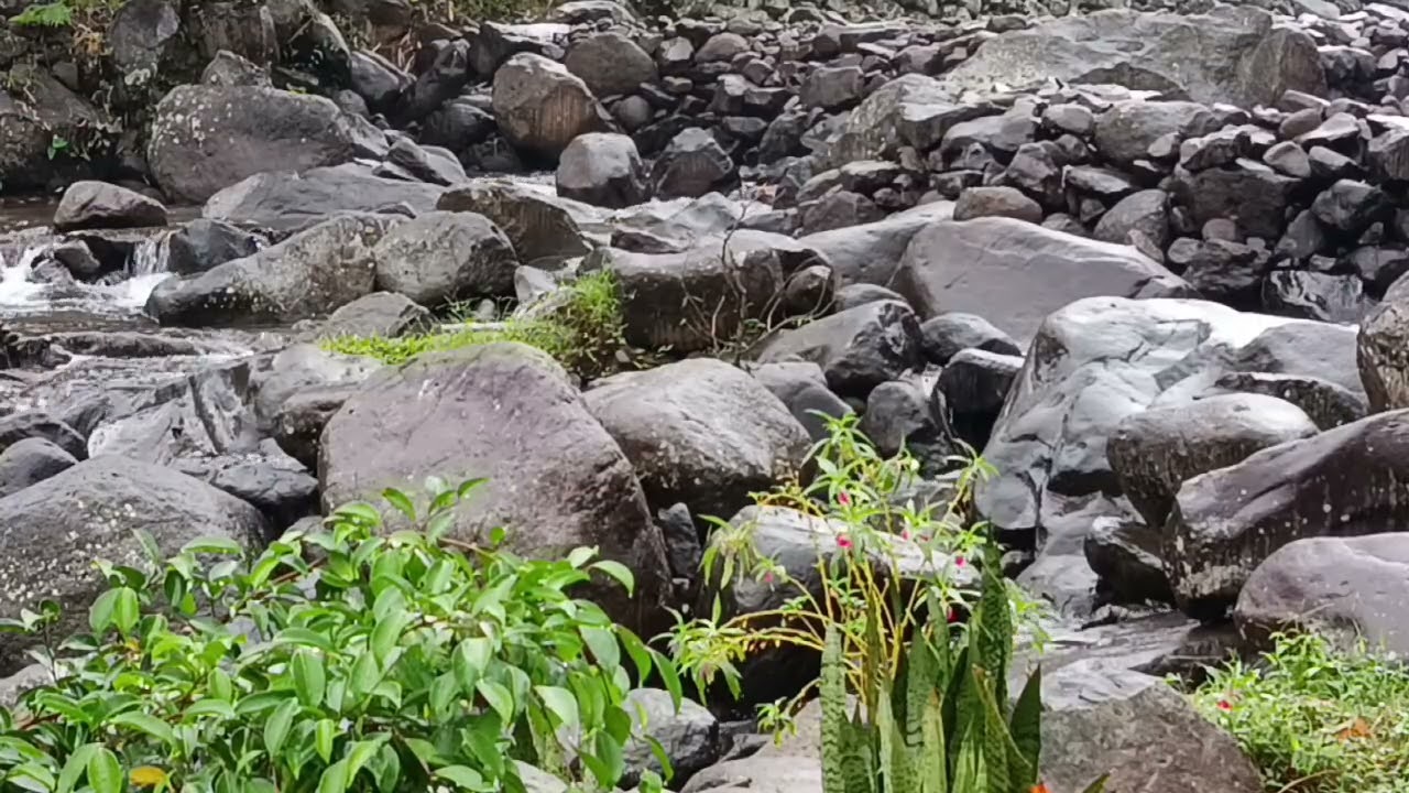 Wild Mountain River In Heavy Rain - Powerful Nature Soundscape