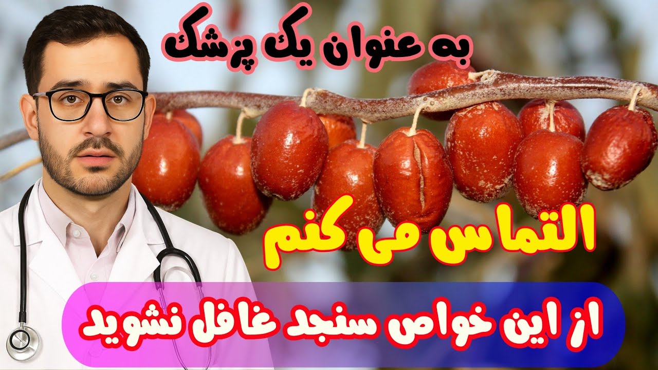 فواید و خواص سنجد برای بدن، شما را شگفت زده می کند