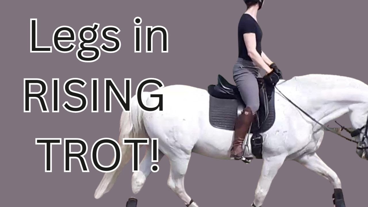 Как сохранить неподвижность ног при строевой рыси? Почему они слишком сильно двигаются и как это ...