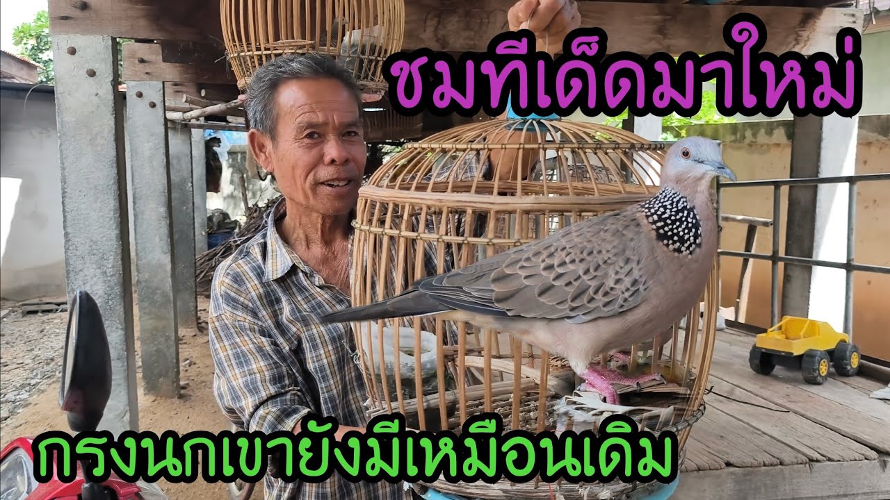 มาชมทีเด็ดคุณพ่อ...เห็นว่าได้มาใหม่...