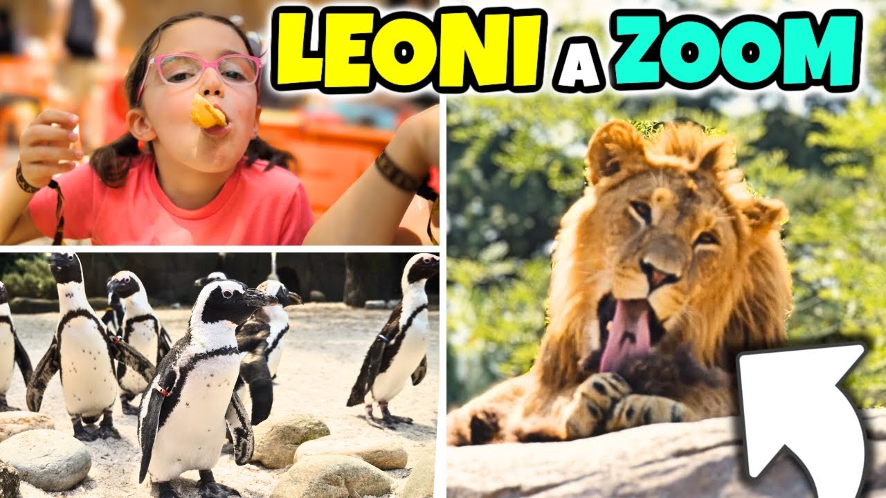 I SEGRETI DEI LEONI E DEI PINGUINI: Dormiamo a Zoom Torino