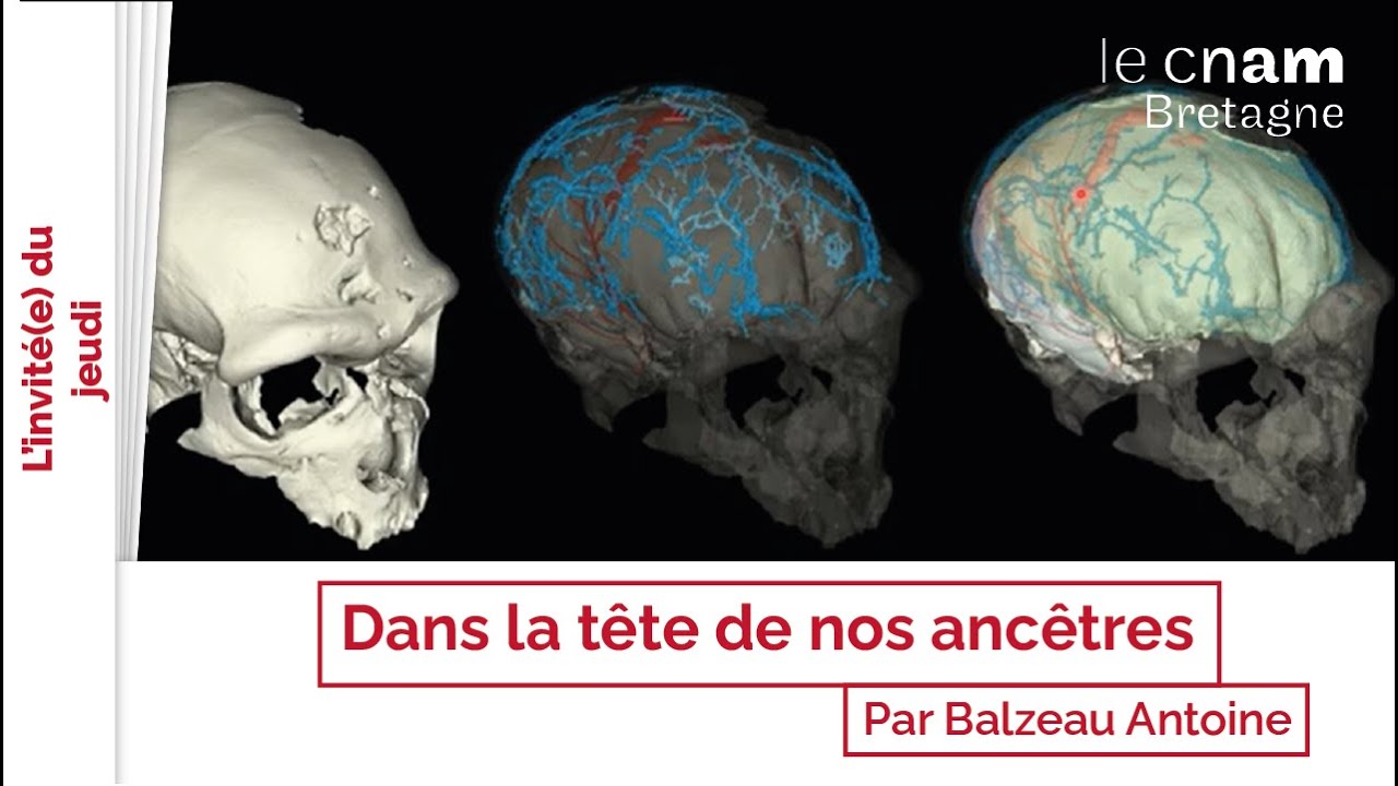 Dans la tête de nos ancêtres - Balzeau Antoine | L'invité du jeudi