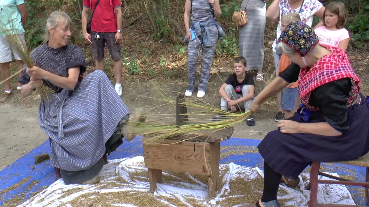 Vlas trekken 2018