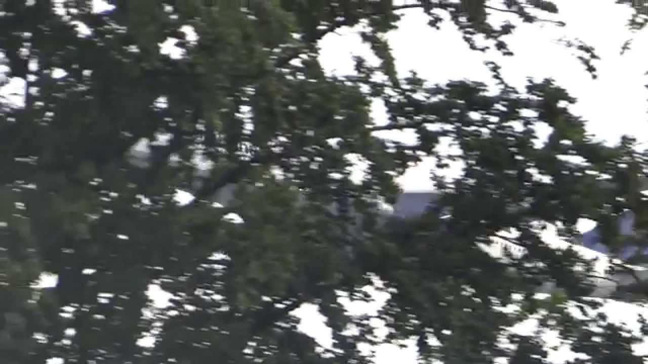 Lufthansa 747-400 Take off at Frankfurt Airport D-ABVY