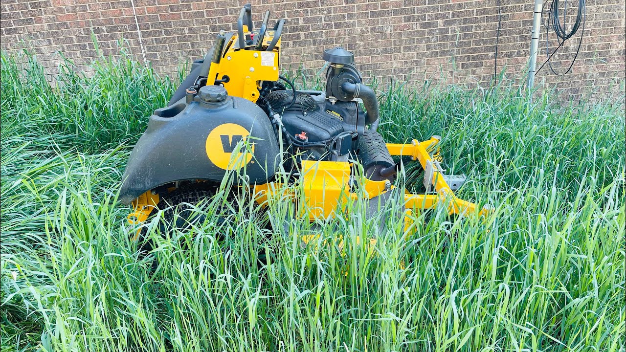 Customer Violates The Law | Lost Her Mind