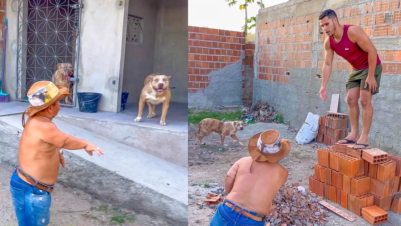 PILILIU SOLTA OS PITBUL EM CIMA DE LEÔNCIO | PILILIU DA RESENHA