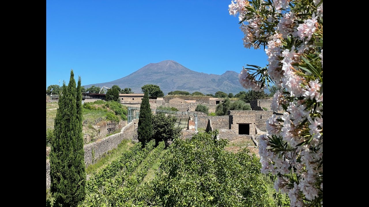 Explore Pompei with an Archaeologist: Forum area Part 1