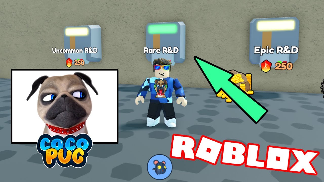 Expanding My Automation In Roblox Collect All Pets!