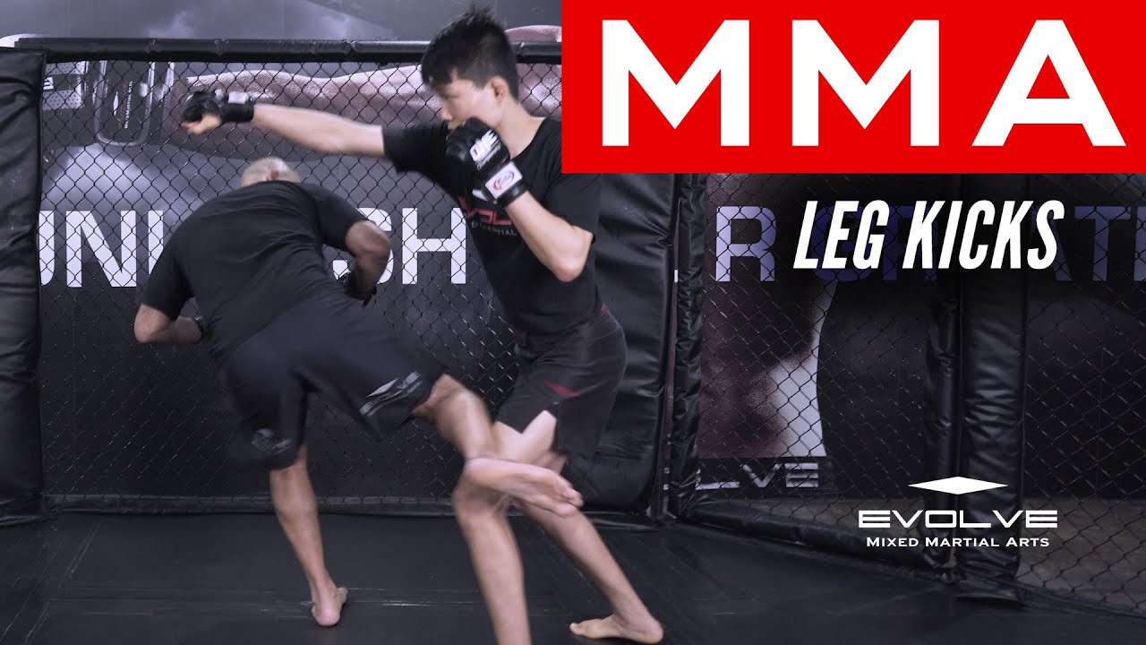MMA | Using Leg Kicks In Mixed Martial Arts