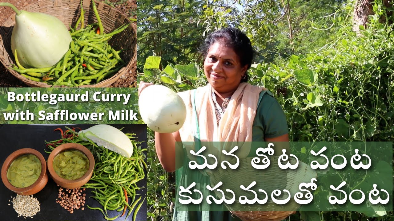 Bottle gourd curry with safflower seeds milk/తెల్ల కుసుమల పాలతో సొరకాయ కూర/Saflower/Tellakusumalu