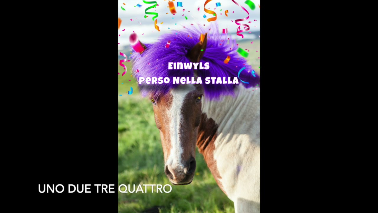 Einwyls - STO PERSO NELLA STALLA
