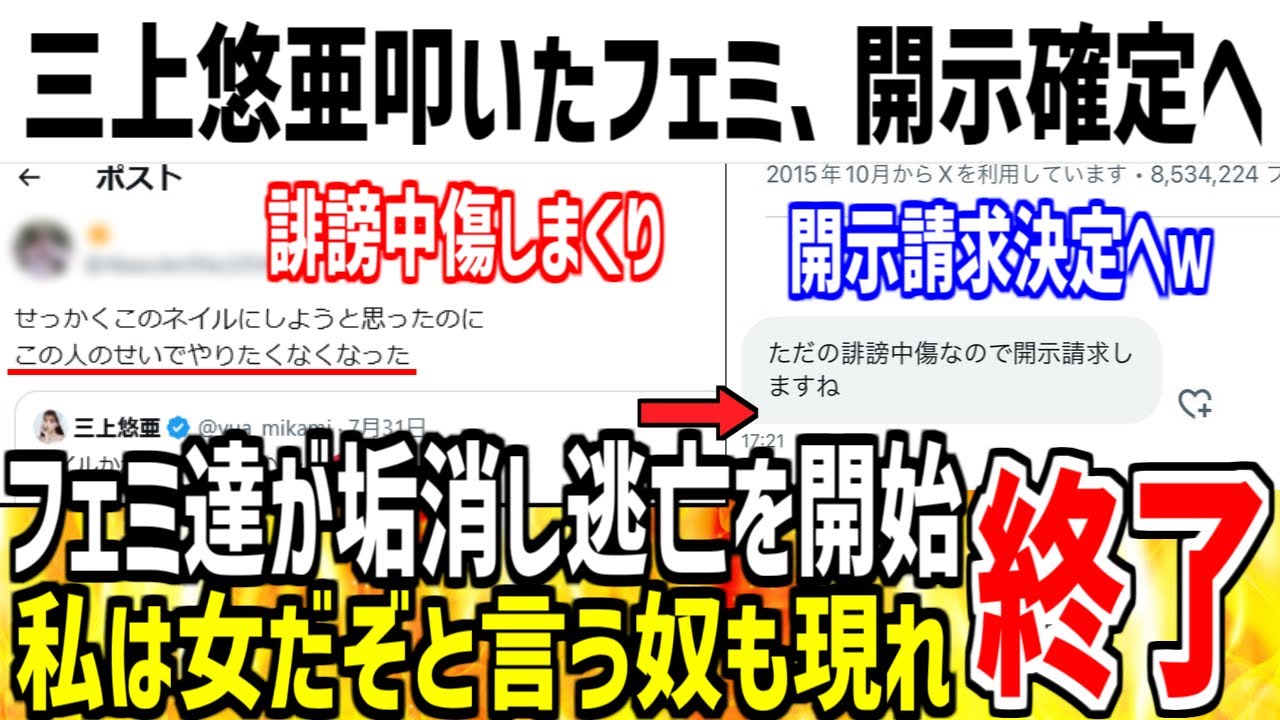 三上悠亜に誹謗中傷したツイフェミ、開示請求に絶望し発狂してしまうwww【ゆっくり解説】