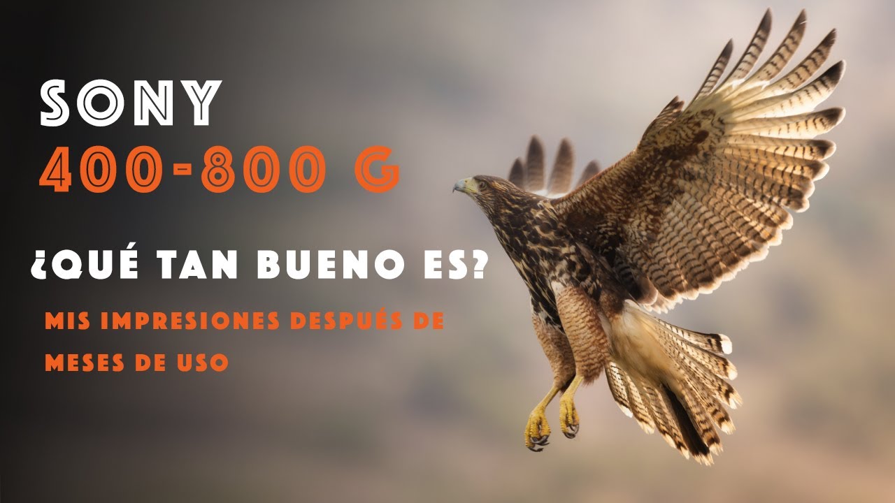 Sony FE 400-800 G  - ¿Qué tan bueno es? - Mi experiencia después de meses usándolo