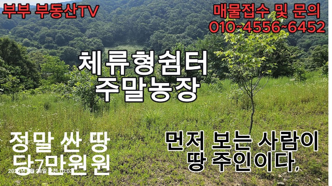 경주토지매매 정말 싼 땅 경주 우라리 체류형 쉼터용지! 주말마다 힐링되는 귀한 땅 “이런 땅, 지금 놓치면 평생 후회합니다!”