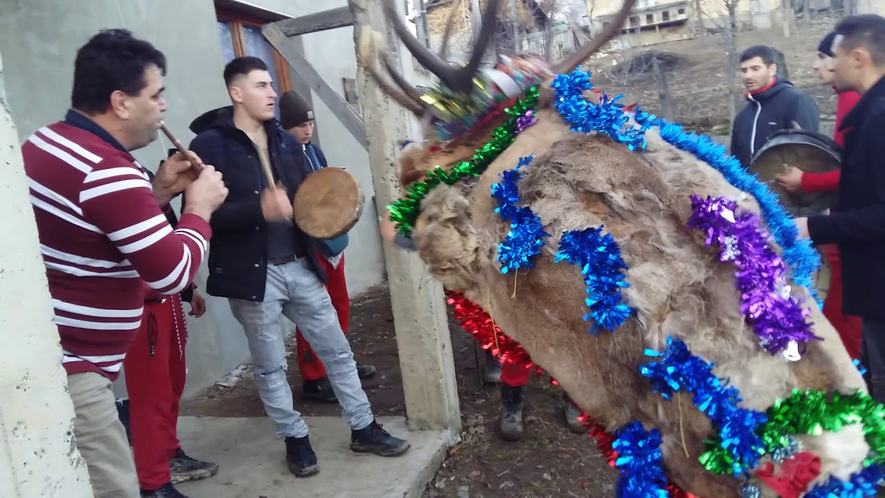 Cerbul de la Brăești 2017-2018