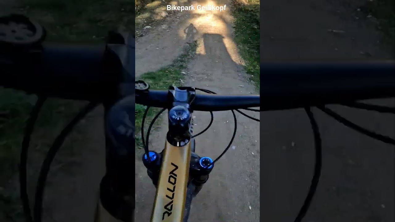 Kleiner Drop im Bikepark MTBzone Gei&szlig;kopf