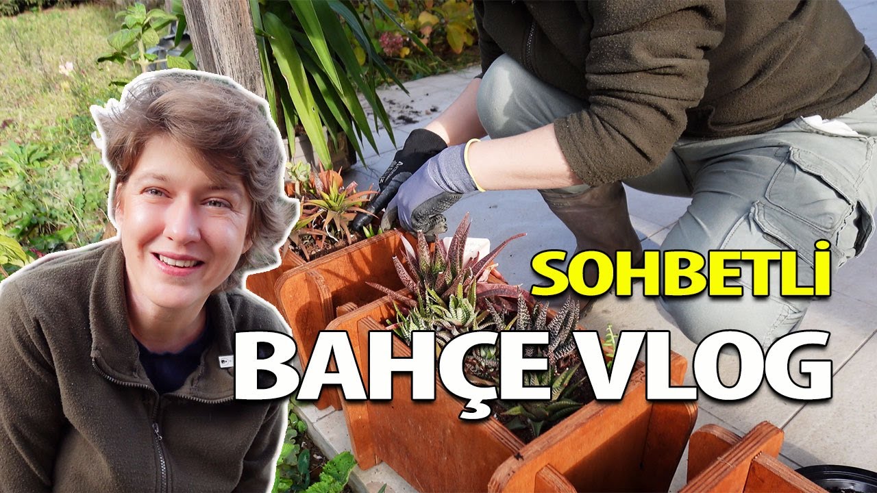Kışın Bahçede Sukulent ve Kaktüs Bakımı | Sohbetli Bahçe Vlog